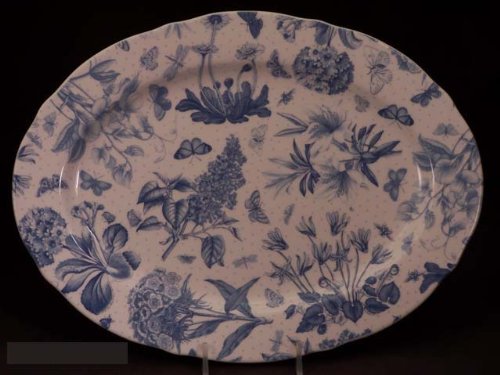 Portmeirion Botanic Blue Platter Medium