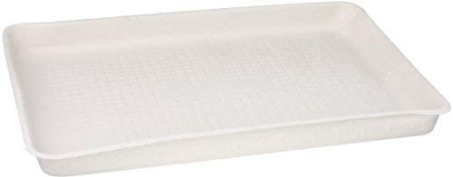 Chinet 20815 StrongHolder Molded Fiber Flat Tray, 12