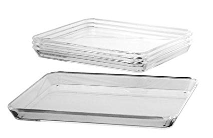 US Acrylic Clear Acrylic Appetizer Trays set of 4